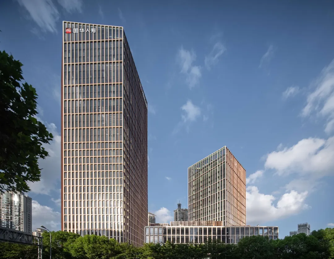 1720420024776489.jpg 1720419908389.jpg